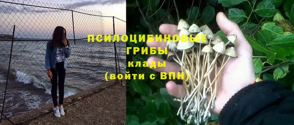 соль ск Абдулино