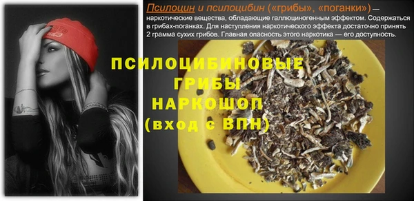 дмт Абинск