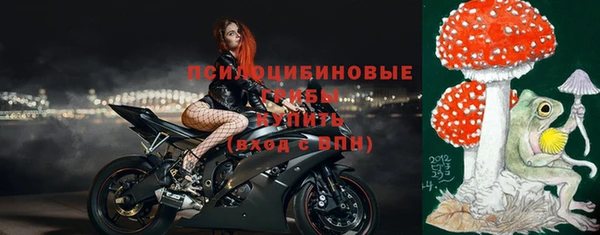 прущая мука Абаза